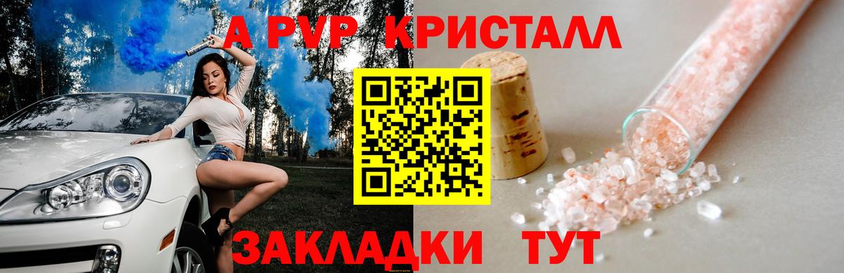 Бошки Шишки Тавда