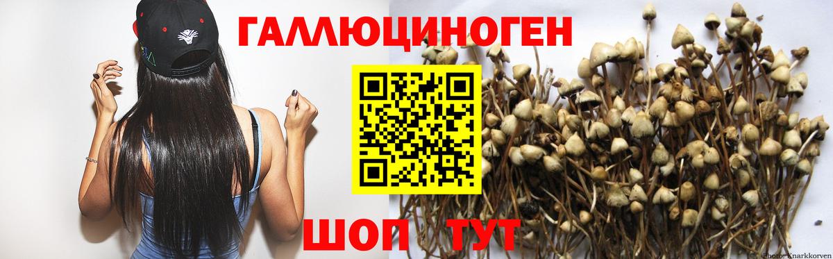 Галлюциногенные грибы MAGIC MUSHROOMS Тавда