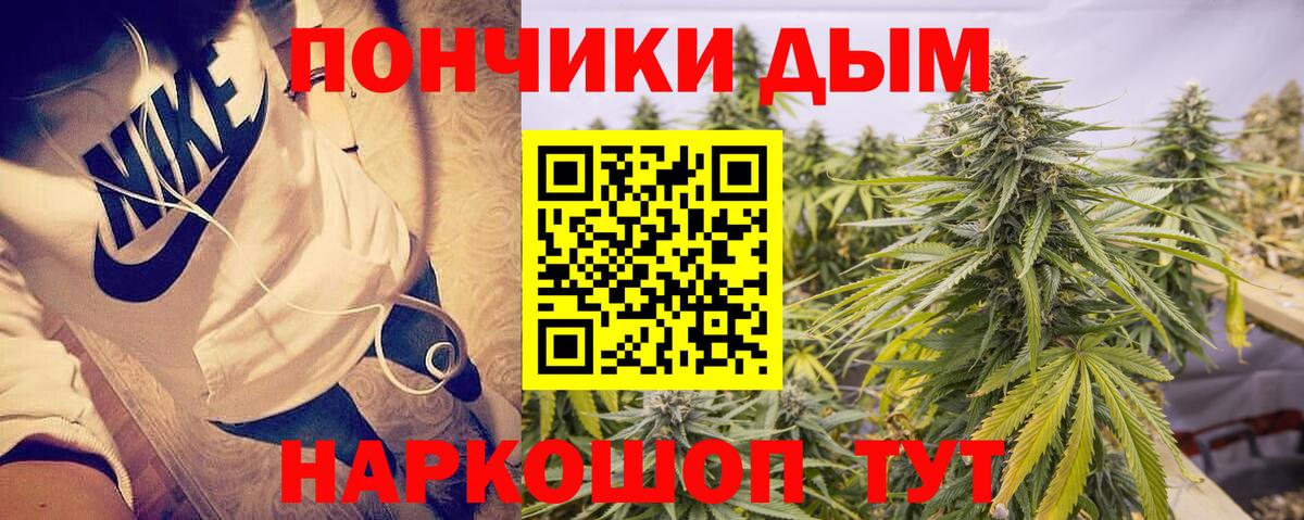 Тавда  Бошки марихуана план  Канабис ГИДРОПОН  Марихуана OG Kush  Вход с VPN 